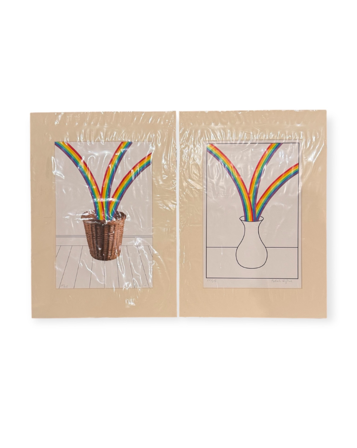 Patrick Hughes Rainbow Vase & Rainbow Basket 20/50 Set